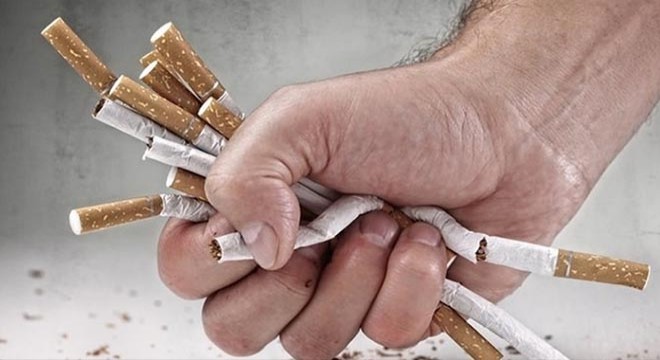 Jandarmadan kaçak sigara operasyonu