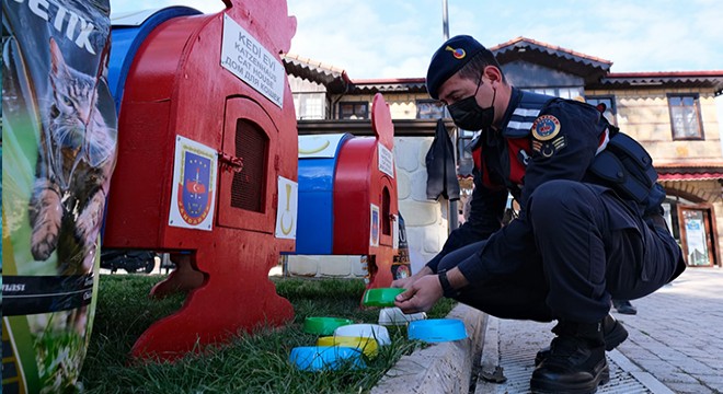 Jandarmadan sokak hayvanlarına şefkat eli