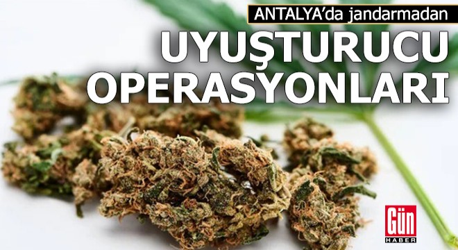 Jandarmadan uyuşturucu operasyonları