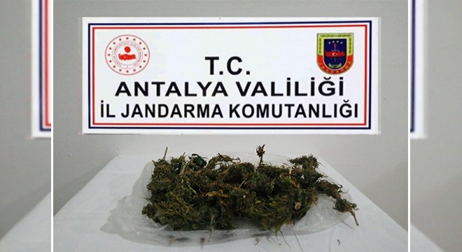 Jandarmadan uyuşturucu operasyonları