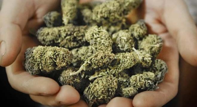 Jandarmadan uyuşturucu operasyonları; 8 gözaltı