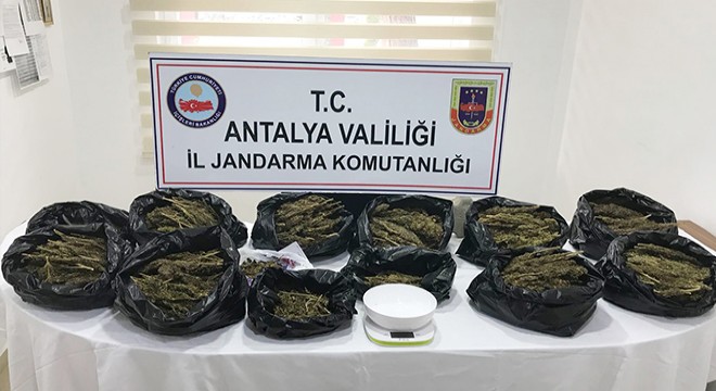 Jandarmadan uyuşturucu operasyonu