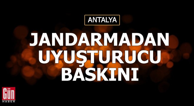 Jandarmadan uyuşturucu baskını