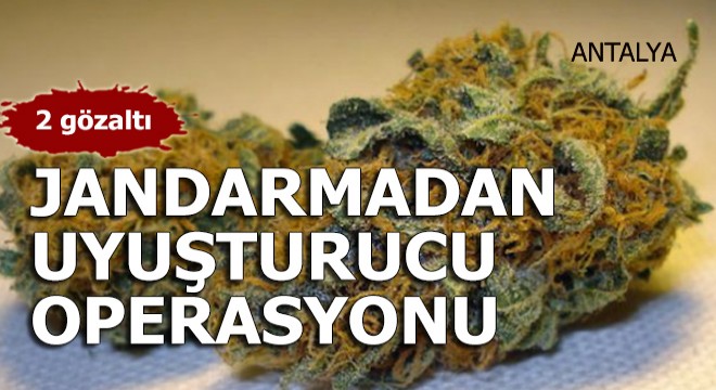 Jandarmadan uyuşturucu operasyonu