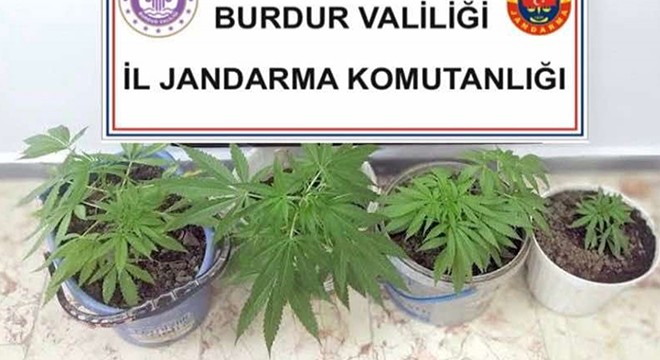 Jandarmadan uyuşturucu operasyonunda 1 tutuklama