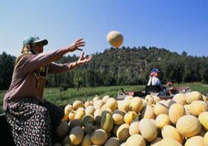 Çalışan kadınların yüzde 51 i kayıt dışı