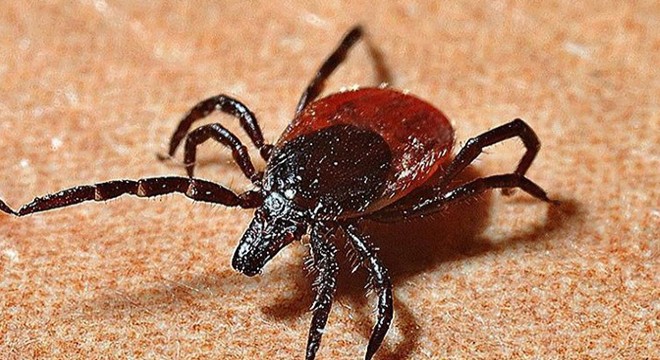 KKKA tedavisi gören çiftçi, hayatını kaybetti