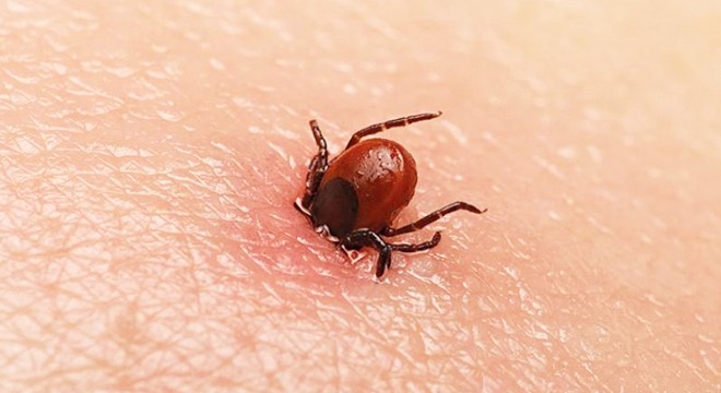 KKKA tedavisi gören çiftçi kurtarılamadı