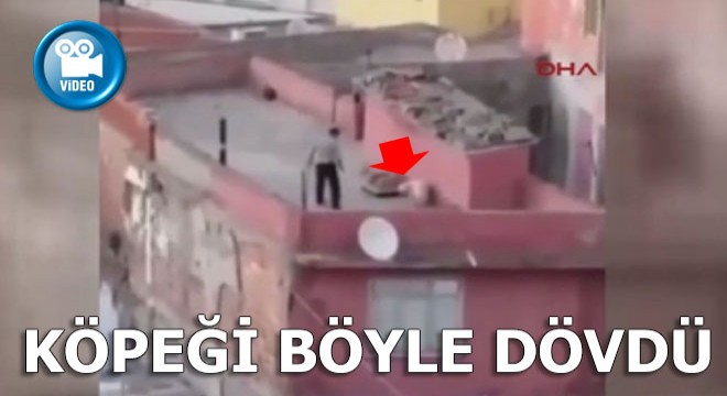 KÖPEĞİ BÖYLE DÖVDÜ GÖZALTINA ALINDI