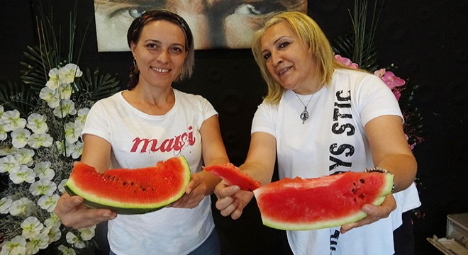 Kabak aşılı karpuzu ayırt etmenin inceliklerini anlattı