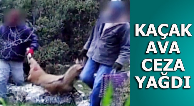 Kaçak ava ceza yağdı