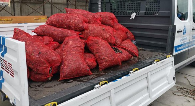 Kaçak avcılar Boğaz'da avladıkları 2 ton midyeyi deniz dibine saklamış