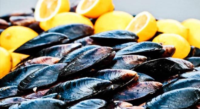 Kaçak avlanan 2 ton midye ele geçirildi