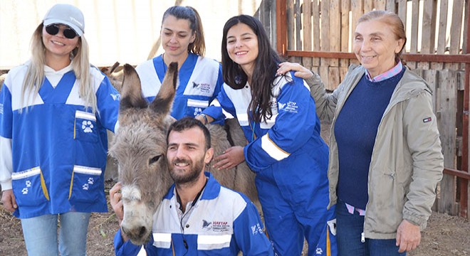 Kaçak kesimden kurtarılan 6 hayvanı HAYTAP sahiplendi