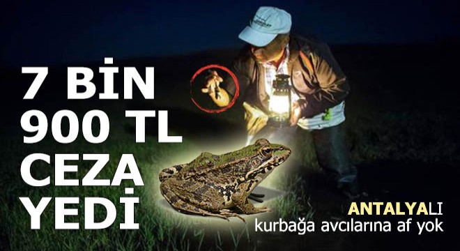 Kaçak kurbağa avına 7 bin 900 lira ceza