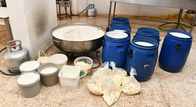 Kaçak peynir imalathanesi mühürlendi