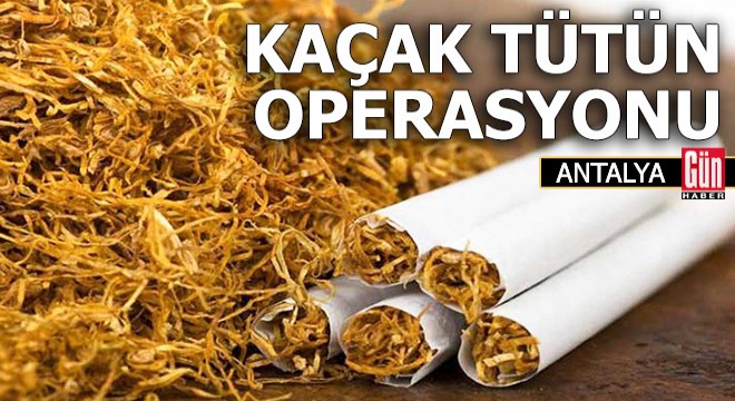 Kaçak sigara tütünü operasyonu