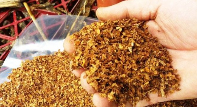 Kaçak tütün satan iş yerlerine denetim