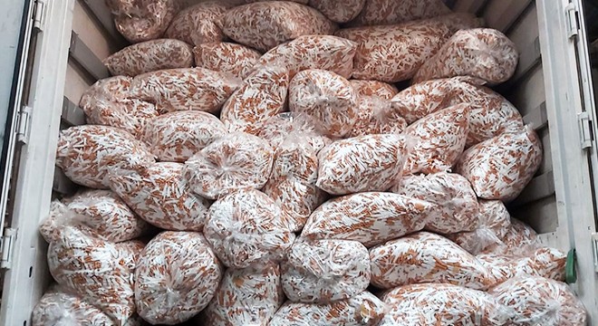 Kaçak üretim yapan makaron fabrikasına operasyon