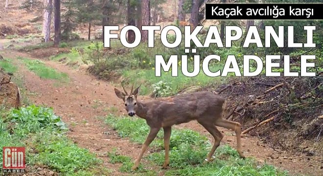 Kaçak avcılığa karşı fotokapanlı mücadele