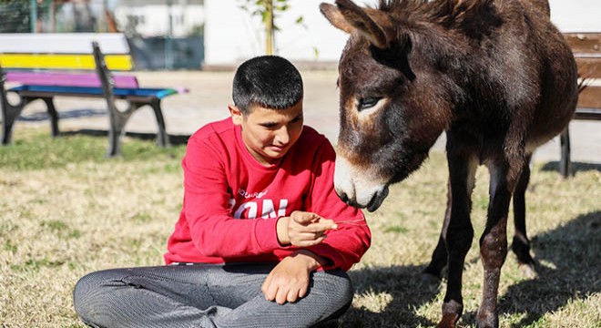 Kaderine terk edilen köy okulu, otizmli çocuklara umut oldu