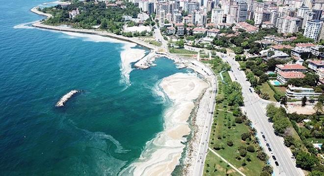 Kadıköy Caddebostan Sahili'nde deniz salyası