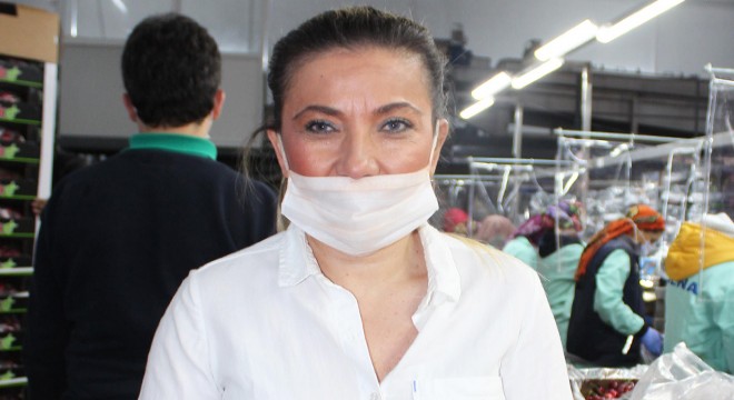 Kadın girişimci, ihracatlık kirazları internetten iç piyasaya satıyor