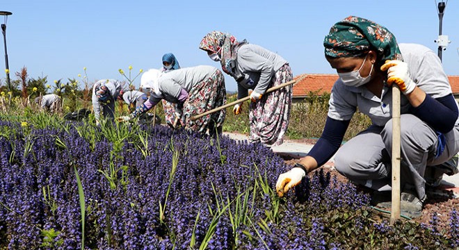 Kadın işçiler, çapa yapıp, otları temizledi