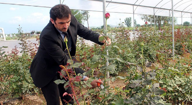 Kadınlar, anneler günü için gül üretti