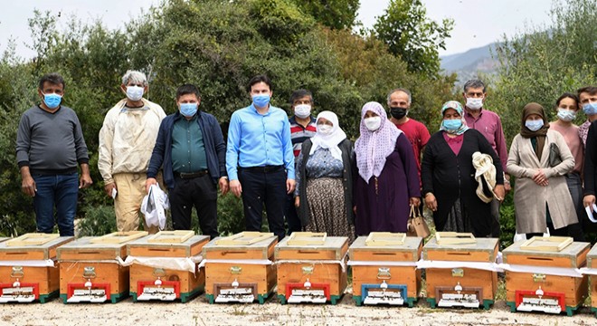 Kadınlara arı kovanı dağıtıldı