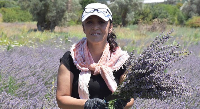 Kadınların gücü 'lavanta'da birleşti