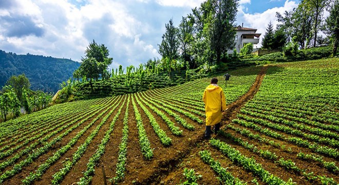 Kalkandere’nin en güzel fotoğrafları yarıştı