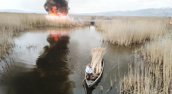 Kamışları yakan şüpheli drone ile tespit edilip, yakalandı