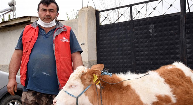 Kampanyaya hayvanlarını satarak bağışta bulundular