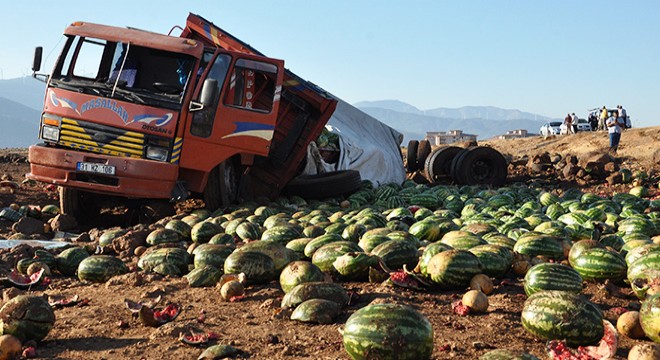 Kamyon devrildi, 13 ton karpuz araziye saçıldı