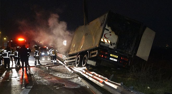 Kamyon, direğe çarpıp alev aldı: 2 ölü, 2 yaralı