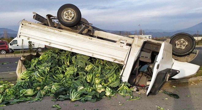 Kamyonet devrildi, karnabaharlar yola döküldü: 2 yaralı