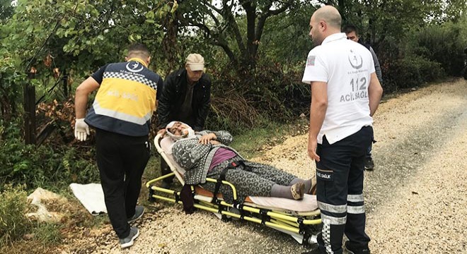 Kamyonet ile hafif ticari araç çarpıştı: 2'si çocuk 6 yaralı