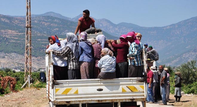 Kamyonet kasasında tehlikeli yolculuk