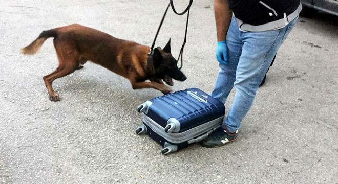 Kanas, KKTC'ye götürülen eroini buldu