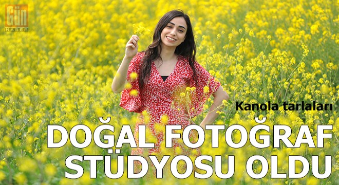 Kanola tarlaları, doğal fotoğraf stüdyosu oldu