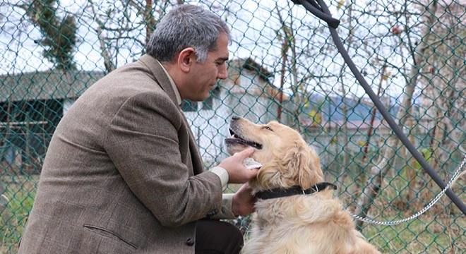 Kanseri koklayarak teşhis edecek köpekler yetiştiriliyor