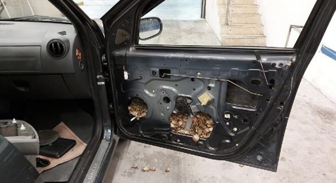 Kapı döşemesine gizlenen 5 bin 450 su kaplumbağası ele geçirildi