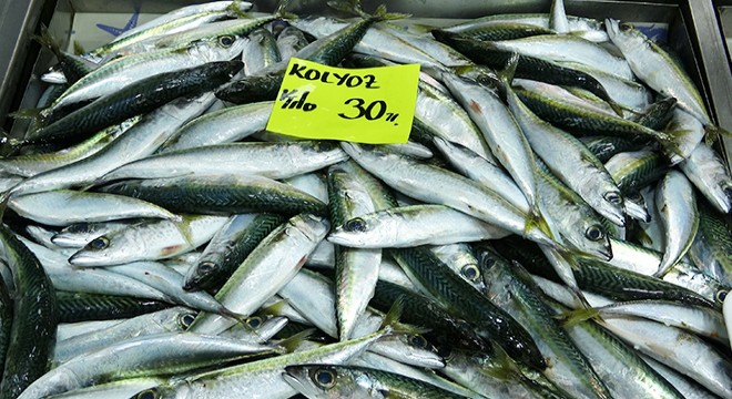 Kar ve soğuğa rağmen balık tezgahları boş kalmadı