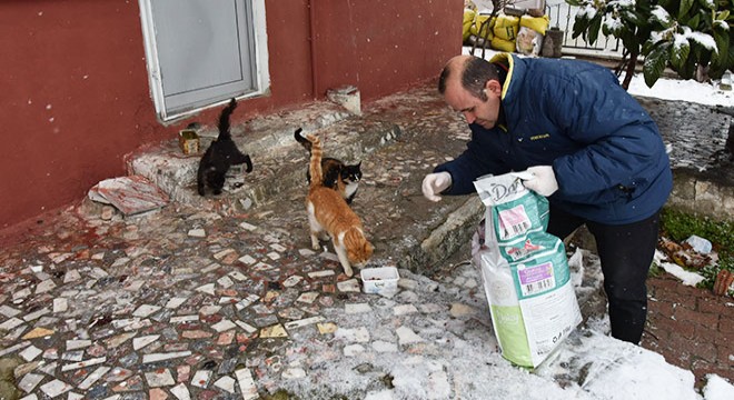 Kar yağışında can dostlar unutulmadı