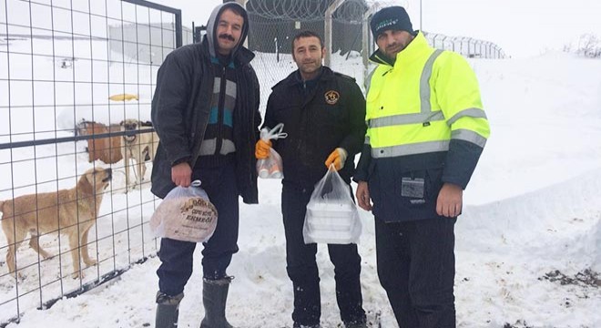 Kar yüzünden tesiste mahsur kalan bekçiler kurtarıldı