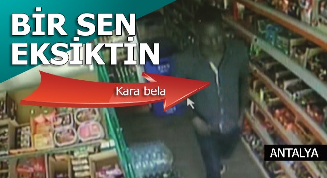 Kara bela Kemer'de görüldü