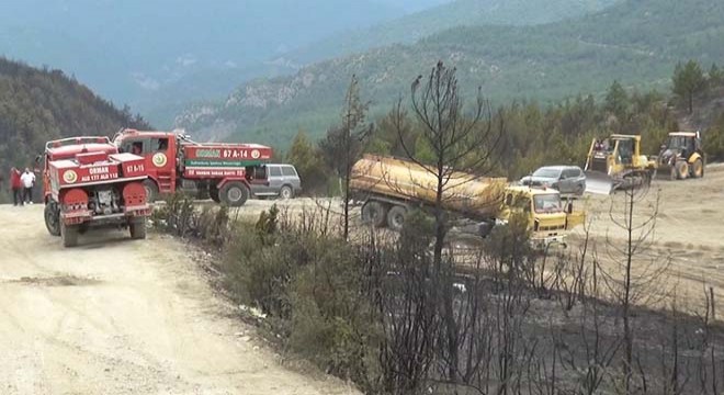 Karabük’te orman yangınında 45 hektar alan yandı