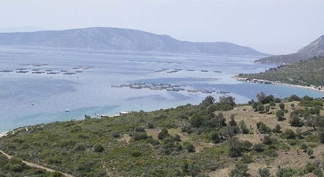 Karaburun Yarımadası nda balık çiftliği tepkisi