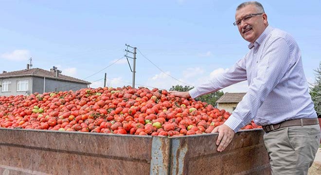 Karacabey’in  kırmızı elmas ına talep çok